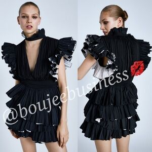 ZARA Ruffled Sleeve Top